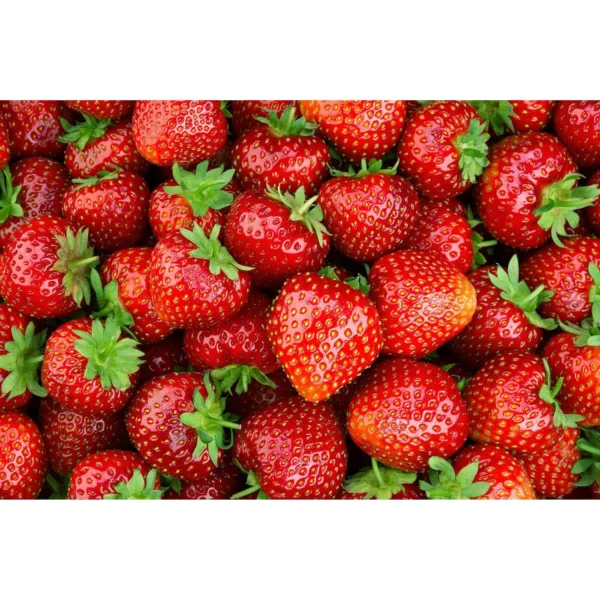 Fresh Strawberries, 2 lb Container