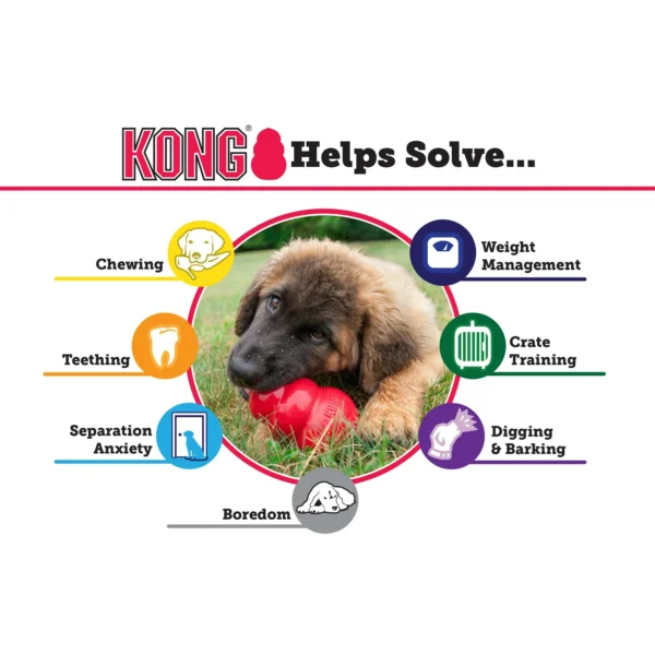 KONG Classic Dog Chew Toy, Red, Medium 3.5 inches